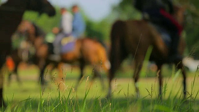 俄国哥萨克人对马匹进行马术阵式排练视频素材