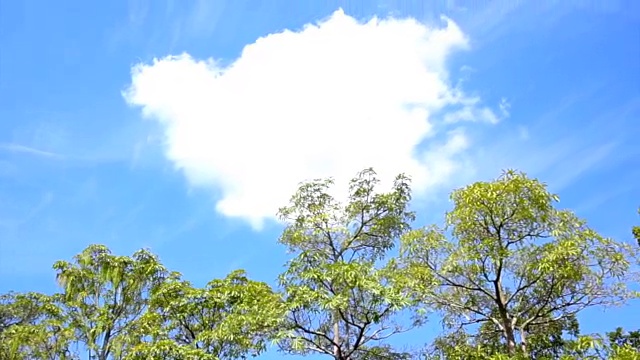 视频树顶部景观与圆形大白云的复制空间和文本视频素材