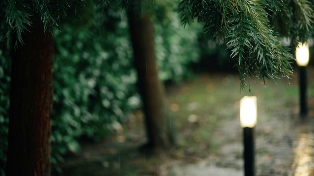 雨中的花园视频素材