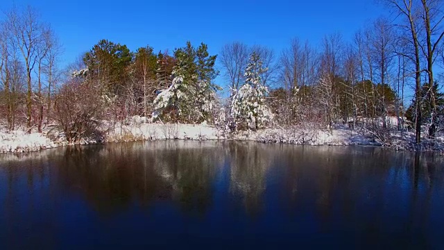 在结冰的湖面上，白雪覆盖着树木视频素材