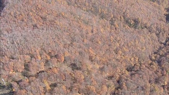 AERIAL，日本新泻的Omine山视频素材