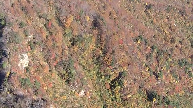 空中，秋色山，日本新泻视频素材