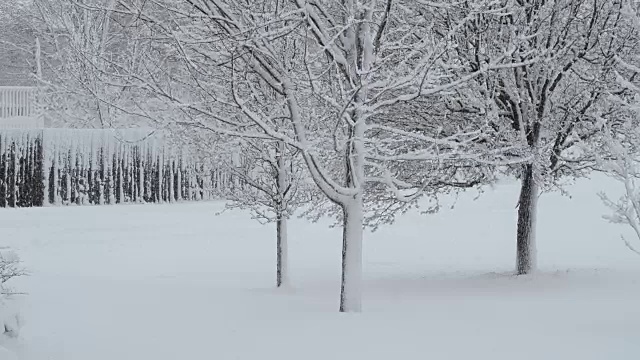 春天暴雪视频素材