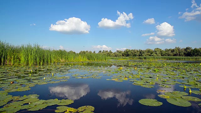 从船上看湖面，风景如画视频素材