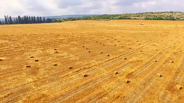 收割时麦田上的农业机械视频素材