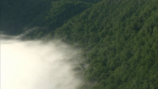 雾在马曙湖上飘过，沿海岸线堆积。视频素材