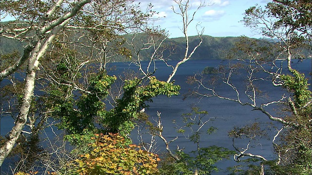 在北海道，树木环绕马淑湖。视频素材