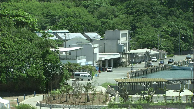 俯瞰日本小笠原岛码头和港口的乡村住宅。视频素材