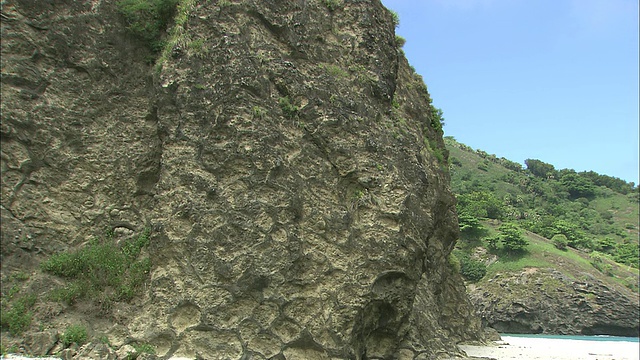 植物生长在Chichijima岛的火山岩上。视频素材