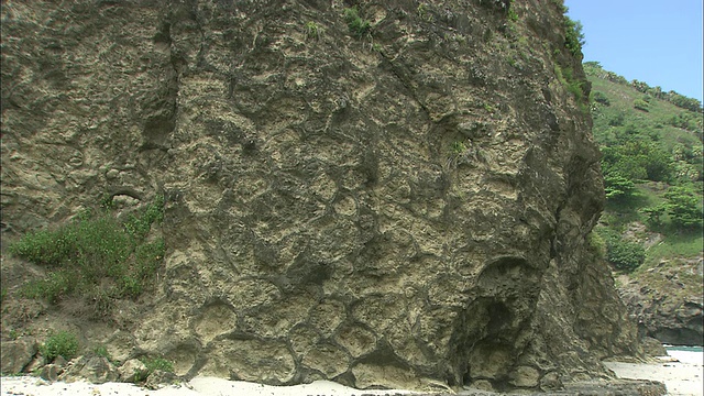 植物依附在日本Chichi-jima岛的火山枕状熔岩岩石上。视频素材