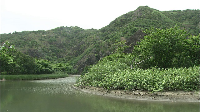 郁郁葱葱的植被覆盖了日本Chichi-jima岛靠近一条河的山丘。视频素材