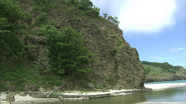 植被覆盖着日本Chichi-jima岛的海岸悬崖。视频素材