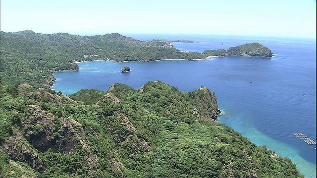 植物生长在Chichijima岛的岩石和悬崖上。视频素材