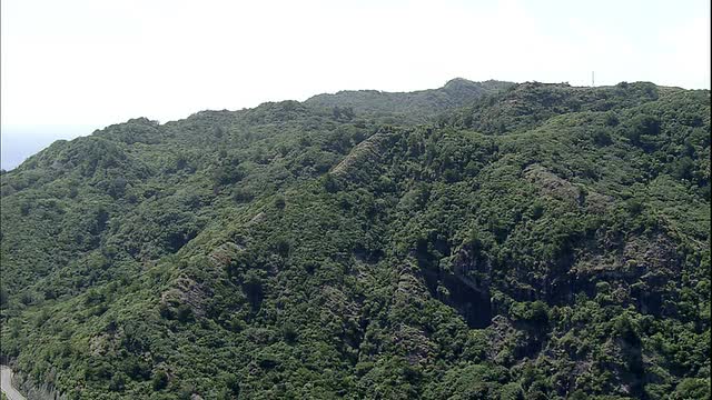 千岛的山峰被灌木丛覆盖着。视频素材