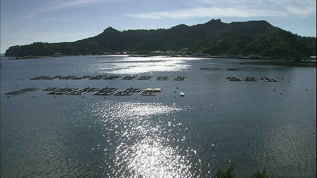 在日本Chichijima岛海岸的双美湾，水中养殖笼子漂浮着。视频素材