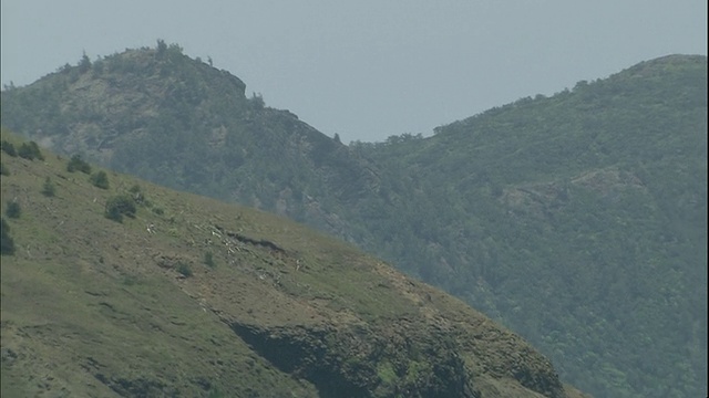 阴霾的天空勾勒出日本知岛太平洋沿岸森林茂密的山脉。视频素材