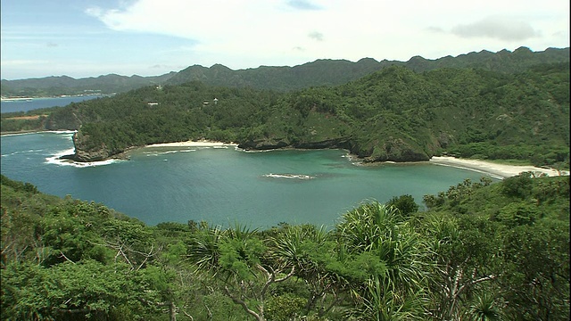 茂密的热带森林排列在日本Chichijima岛的Kopepe海岸。视频素材