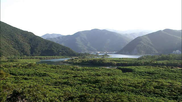 一条河流穿过红树林和山谷。视频素材