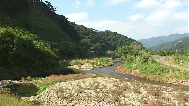 川内河流经日本阿美大岛的一个山谷。视频素材