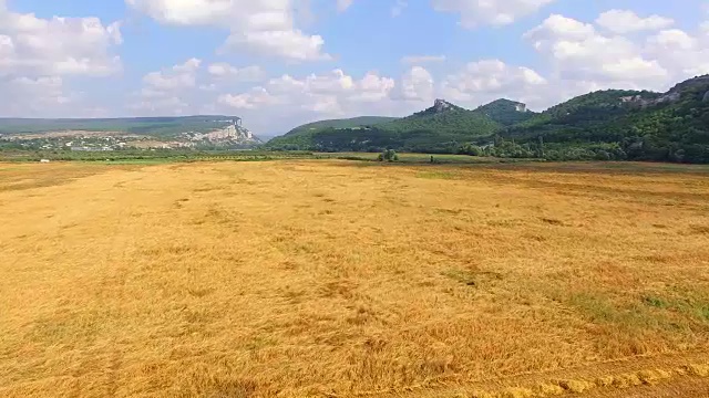 田间收割小麦的农业机械视频素材
