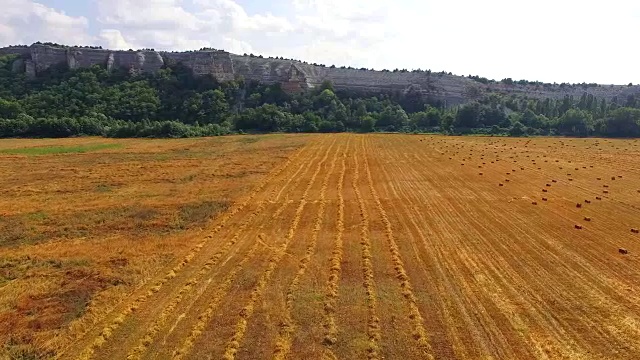农用联合收割机在田间收割小麦视频素材