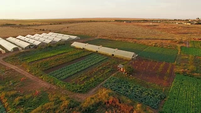 日落时带有温室种植园的农田视频下载