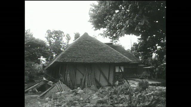 武藏野住宅区的一户人家有茅草屋顶。视频素材