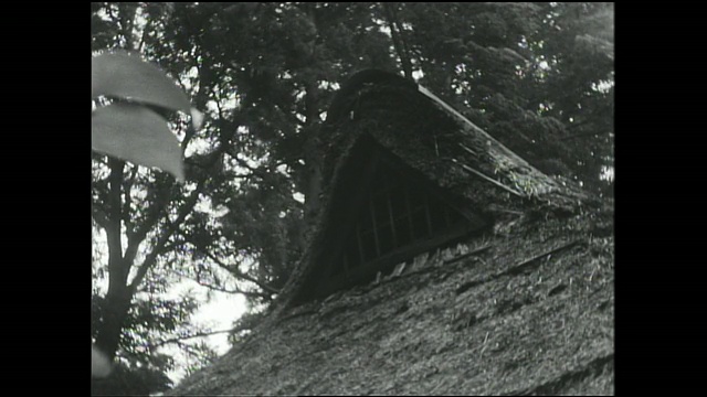 武藏野住宅区的房子有茅草屋顶。视频素材