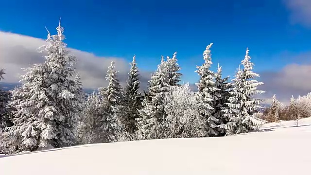 冬季景观与高云杉和雪山视频素材