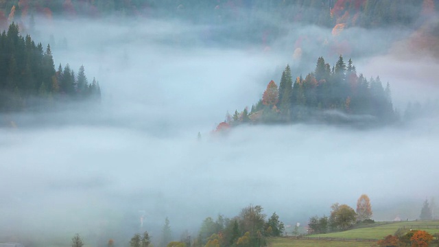 山林中的晨雾视频素材