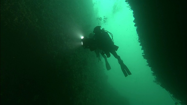 日本静冈县大崎市附近，一名潜水员使用一盏灯潜入海底。Diving-shot视频素材