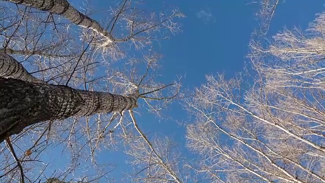 春天的天空视频素材