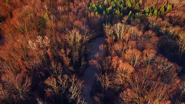 清晨空中俯瞰日出的风景，河流，常青树视频素材