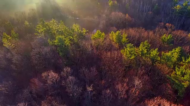 日出在神秘山谷的迷雾河视频素材