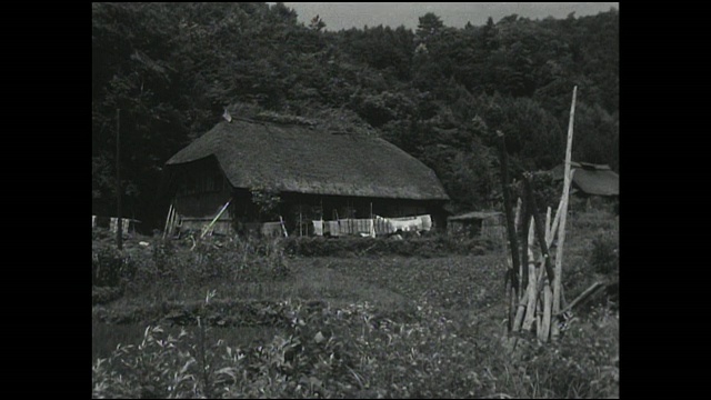 在农村地区，茅草屋顶的房子排列在山脚下。视频素材