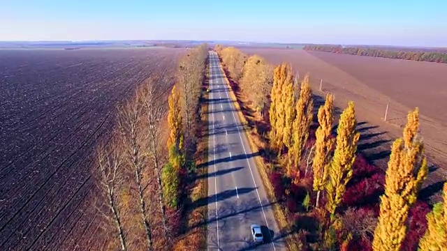 鸟瞰图的郊区道路与秋天的树木在边缘视频素材