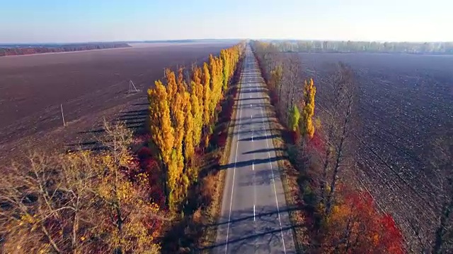 鸟瞰图的郊区道路与秋天的树木在边缘视频素材