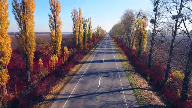 鸟瞰图的郊区道路与秋天的树木在边缘视频素材