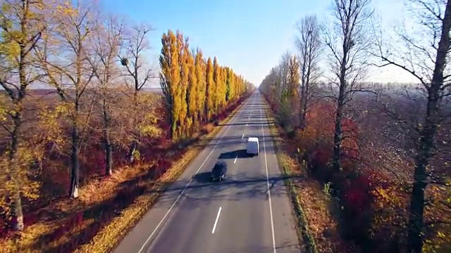 鸟瞰图的郊区道路与秋天的树木在边缘视频素材