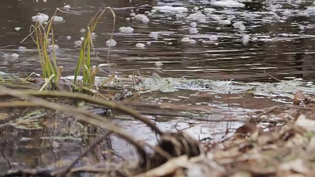 脏水从管子里流出来视频素材