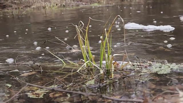 脏水从管子里流出来视频素材