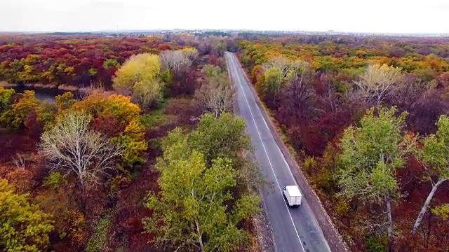 鸟瞰图的道路通过秋天的森林。视频素材