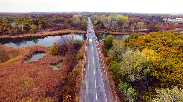 鸟瞰图的道路通过秋天的森林。视频素材