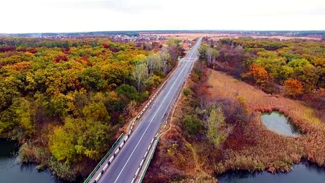 鸟瞰图的道路通过秋天的森林。视频素材