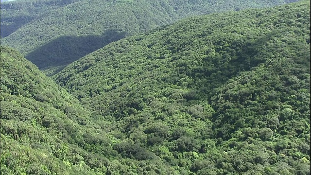 一条河流流经日本Iriomote岛上一个森林覆盖的山谷。视频素材