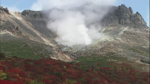 蒸汽从火山口翻腾而出，吹过日本纳苏山秋天的林地。视频素材