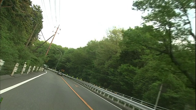 在日本茂密的青木原森林中蜿蜒曲折的道路。视频素材