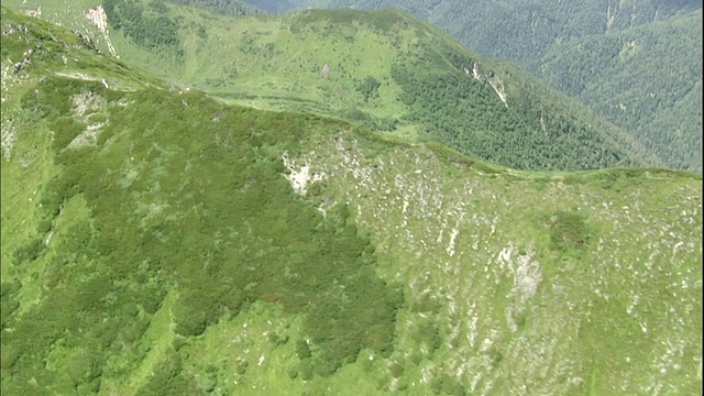 在日本北海道波罗shiri山的山脊上生长着绿色的植被。视频素材