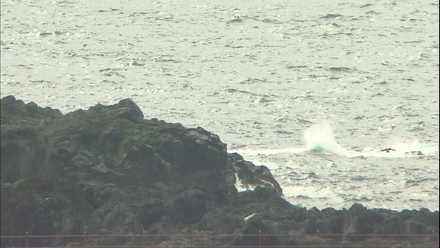 海浪冲上日本三宅岛的岩石海岸。视频素材