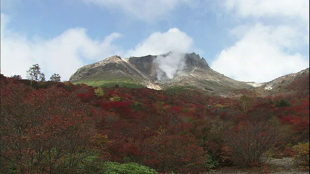 在日本枥木县的Nasu-machi，当薄雾笼罩在树上时，Nasu山被秋天的色彩所覆盖。视频素材